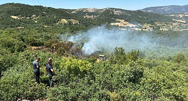 Enerji nakil hattından çıkan orman yangını kontrol altına alındı