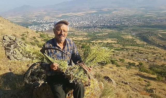 Erciyes'ten gelen şifa kaynağı: Karakovan Balı
