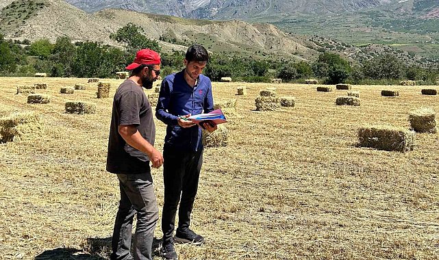 Erzincan genelinde yem bitkisi kontrolleri başladı