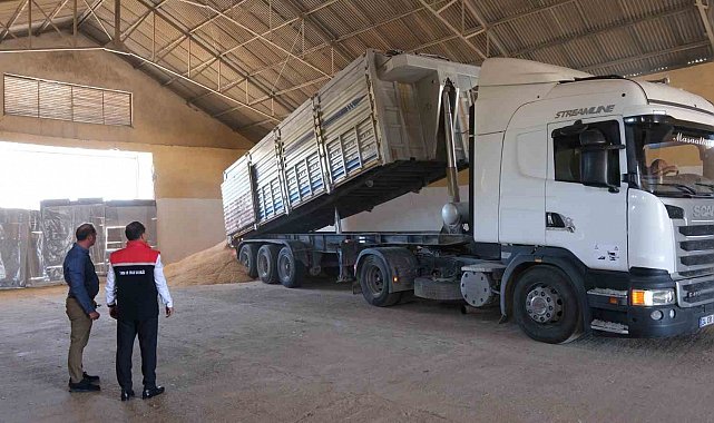 Erzincan'da hububatta ilk hasat başladı
