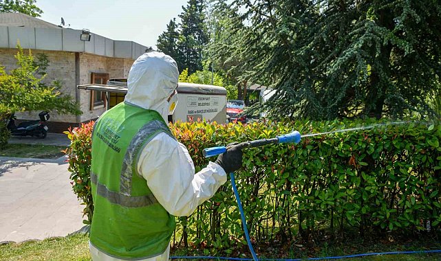 Esenyurt'ta haşerelere karşı kapsamlı mücadele