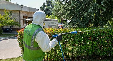 Esenyurt'ta haşerelere karşı kapsamlı mücadele