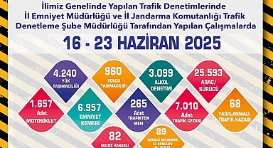 Eskişehir'de 265 araç trafikten men edildi