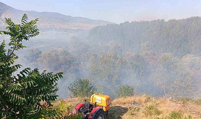 Eskişehir'de ağaçlık alanda yangın: Alevler okul lojmanına sıçradı
