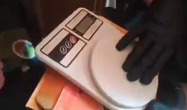 Evinin bahçesinde 290 kök kenevir yetiştiren tacir tutuklandı