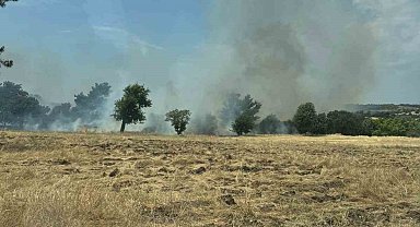 Ezine'de tarım arazisinde çıkan yangın kontrol altına alındı