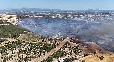Ezine'deki yangında 287 futbol sahası büyüklüğünde alan zarar gördü