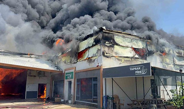 Fide üretim merkezinde yangın