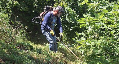 Fındık bahçelerinde 'yüksek verim' için temizlik çalışmaları başladı