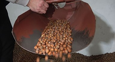 Fındıkta stoklar eriyor, yeni sezonun yolu açılıyor