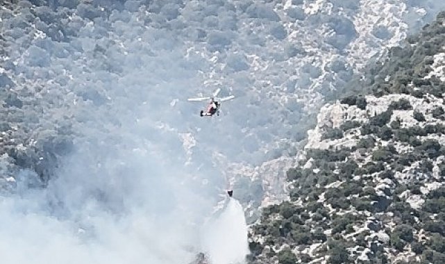 Finike'de çıkan orman yangını kontrol altına alındı