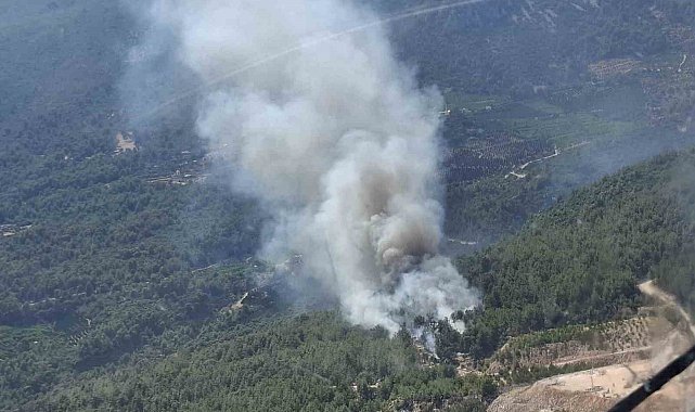 Finike'de orman yangını