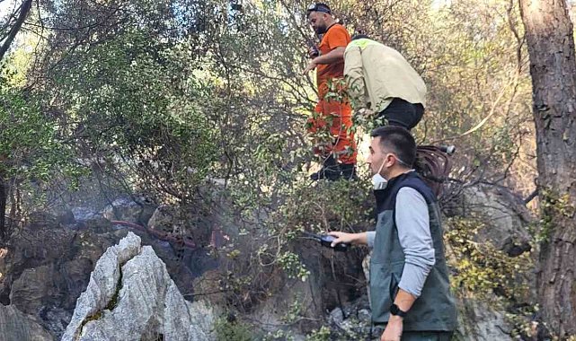 Finike'deki orman yangını kontrol altına alındı