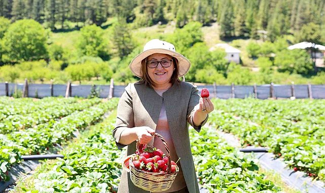 GAP Bölge Başkanlığı ile Huzur Yaylası Proje lansmanı düzenlendi