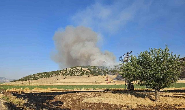 Gaziantep'te anız yakarken suçüstü yakalanan şahsa 47 bin TL ceza