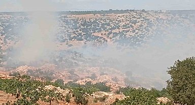Gaziantep'te fıstık ve zeytin bahçelerinde yangın