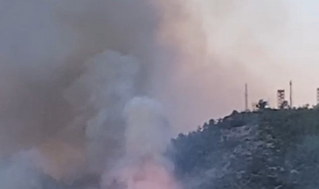 Gazipaşa'daki orman yangınında gözetleme kulesindeki personelin zor anları kamerada