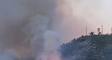 Gazipaşa'daki orman yangınında gözetleme kulesindeki personelin zor anları kamerada