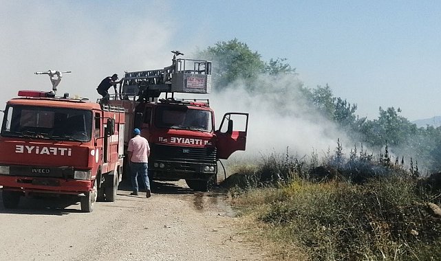 Gelendost'ta göl kenarında çıkan yangında 200 dönüm alan zarar gördü