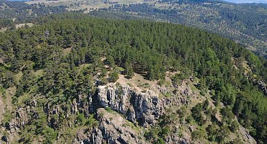 Gelin Uçtu Tabiat Parkı tescillendi