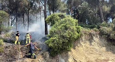 Gemlik'te çamlık alanda çıkan yangın kısa sürede söndürüldü