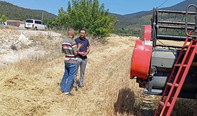 Gölpazarı'nda hasat ve biçerdöver denetimleri sürüyor