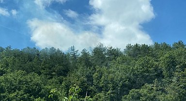 Gölpazarı'nda yangın bölgesinde alevler yeniden yükseldi, ekipler harekete geçti