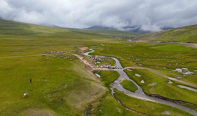 Gümüşhane yaylalarında görsel şölen