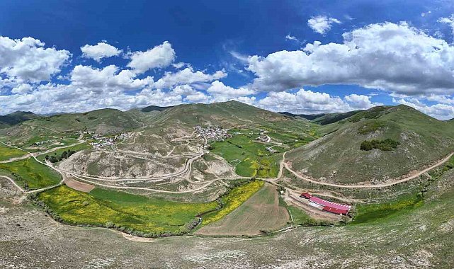 Gümüşhane'de sarı çiçeklerin büyülü dansı başladı