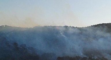 Hatay'da çıkan orman yangını kontrol altına alındı