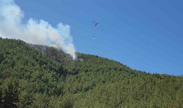 Hatay'da orman yangını havadan müdahaleyle kontrol altına alındı