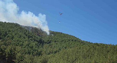 Hatay'da orman yangını havadan müdahaleyle kontrol altına alındı