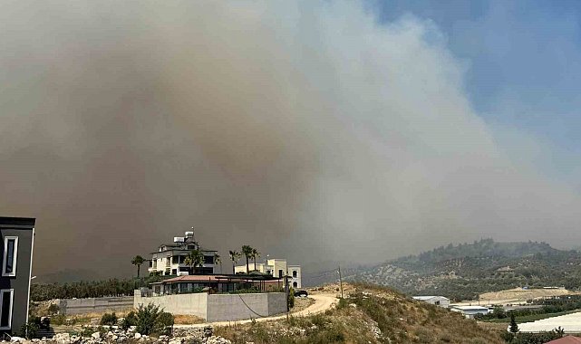 Hatay'da orman yangını
