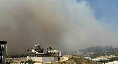 Hatay'da orman yangını