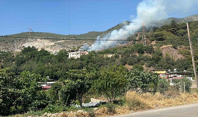 Hatay'da ormanlık alanda çıkan yangın söndürüldü