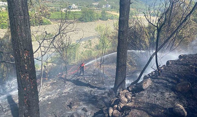 Hatay'daki orman yangını söndürüldü