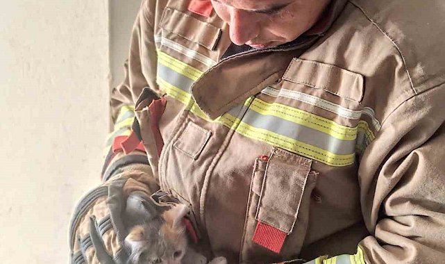 Havalandırma boşluğuna düşen kediyi itfaiye kurtardı