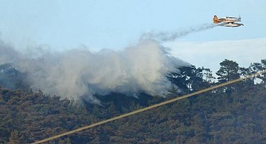 Havran'daki orman yangınında havadan müdahaleye ara verildi
