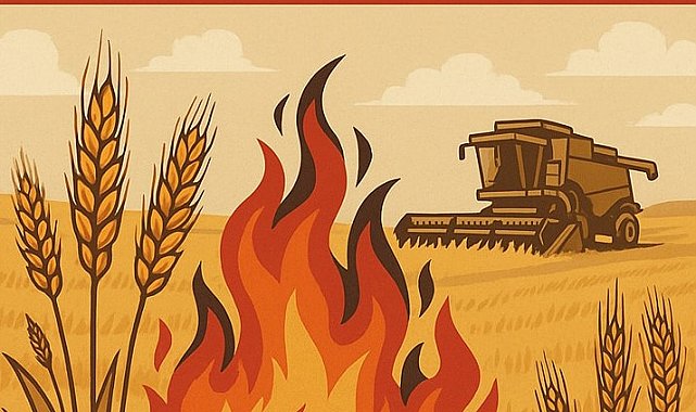 Hayrabolu İlçe Tarım ve Orman Müdürlüğü uyardı: "Anız yakmayalım, sigara izmariti atmayalım, tedbiri elden bırakmayalım"