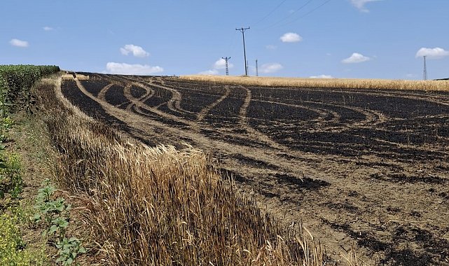 Hayrabolu'da 13 dönüm arpa tarlası küle döndü