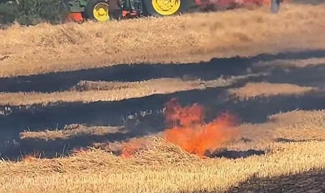 Hayrabolu'da 7 dönüm buğday ekili alan kül oldu