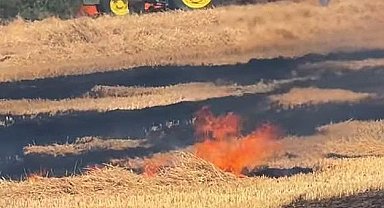 Hayrabolu'da 7 dönüm buğday ekili alan kül oldu