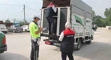 Hayvan pazarında sıkı denetim