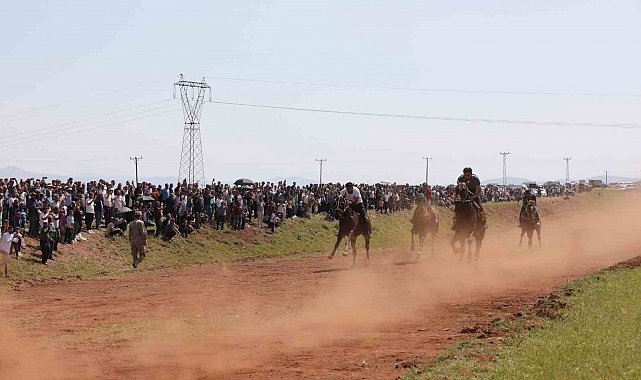 Hınıs'ta geleneksel At Yarışı Festivali