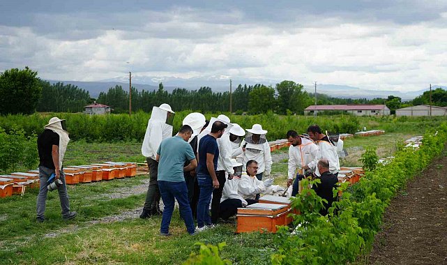 Iğdır'da arı kovanı dağıtım töreni düzenlendi