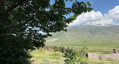 Iğdır'da çorak arazi ağaçlarla yeşeriyor