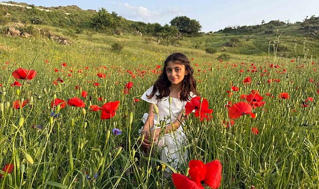 Iğdır'da gelincik tarlaları görsel şölen sunuyor