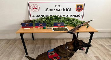 Iğdır'da jandarmadan uyuşturucu operasyonu: 1 kişi tutuklandı
