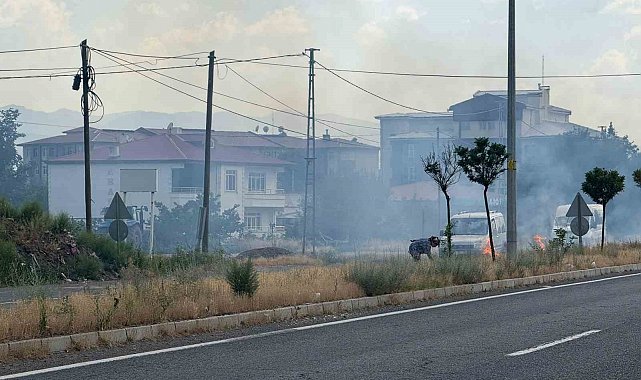 Iğdır'da yaşlı kadın uluslararası yolun ayırıcı kısmındaki otları ateşe verdi