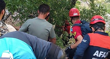 Ihlamur toplarken kayalıklardan düşen emekli polis hayatını kaybetti